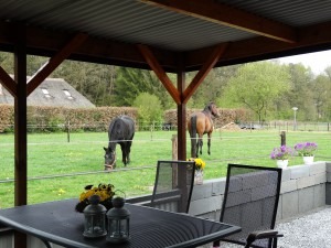 Onder de Veranda uitzicht op de paardenwei