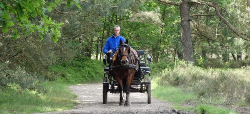 Hoeve de Sprengen