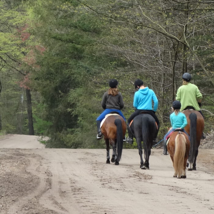 Hoeve de Sprengen Bosrit