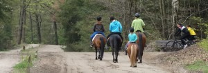 Hoeve de Sprengen Bosrit