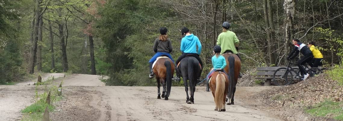 Heerlijk fietsen of wandelen op de Veluwe