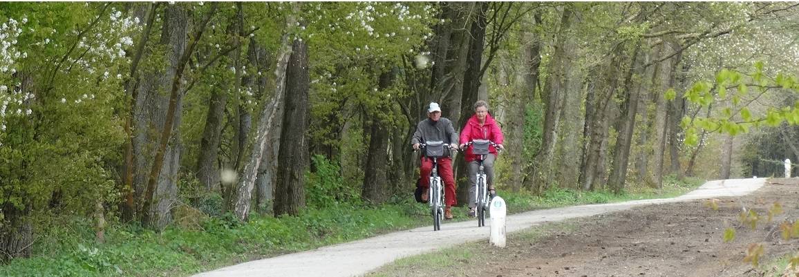 Veluwe vakantiehuisje 4 personen