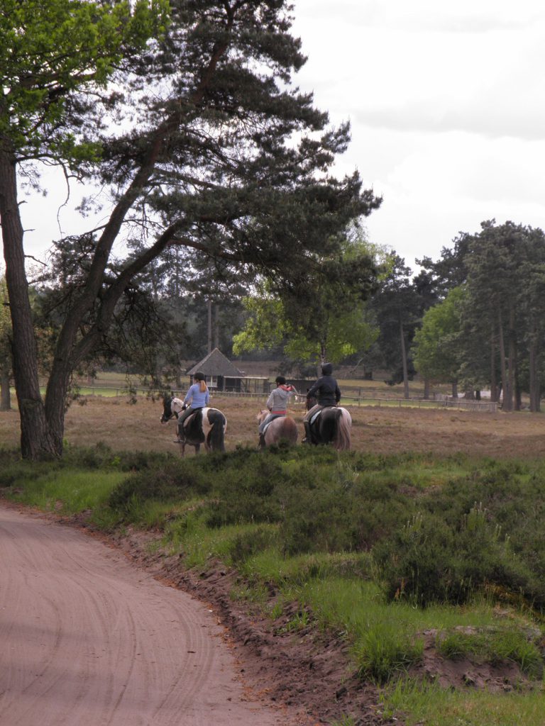 Bos & Hei van Heerde en Epe