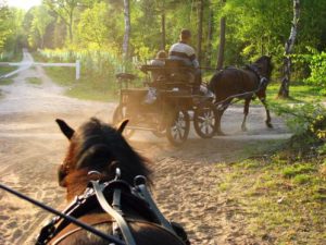 Hoeve de Sprengen