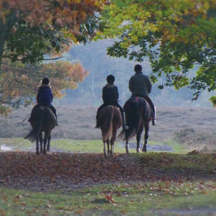 Hoeve de Sprengen