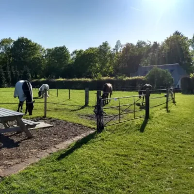 weidegang Hoeve de Sprengen
